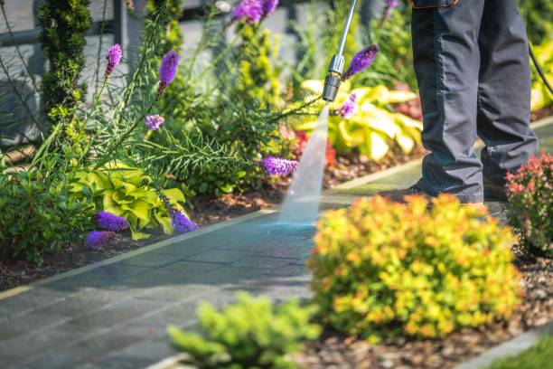 Best Patio and Deck Pressure Washing  in Clifton, NJ
